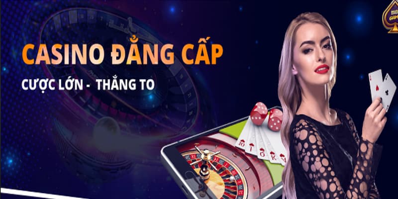 đăng ký đại lý Cung cấp dịch vụ chăm sóc khách hàng chuyên nghiệp